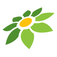 PNG BUILD ML